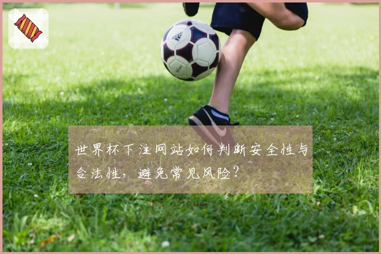 世界杯下注网站如何判断安全性与合法性，避免常见风险？